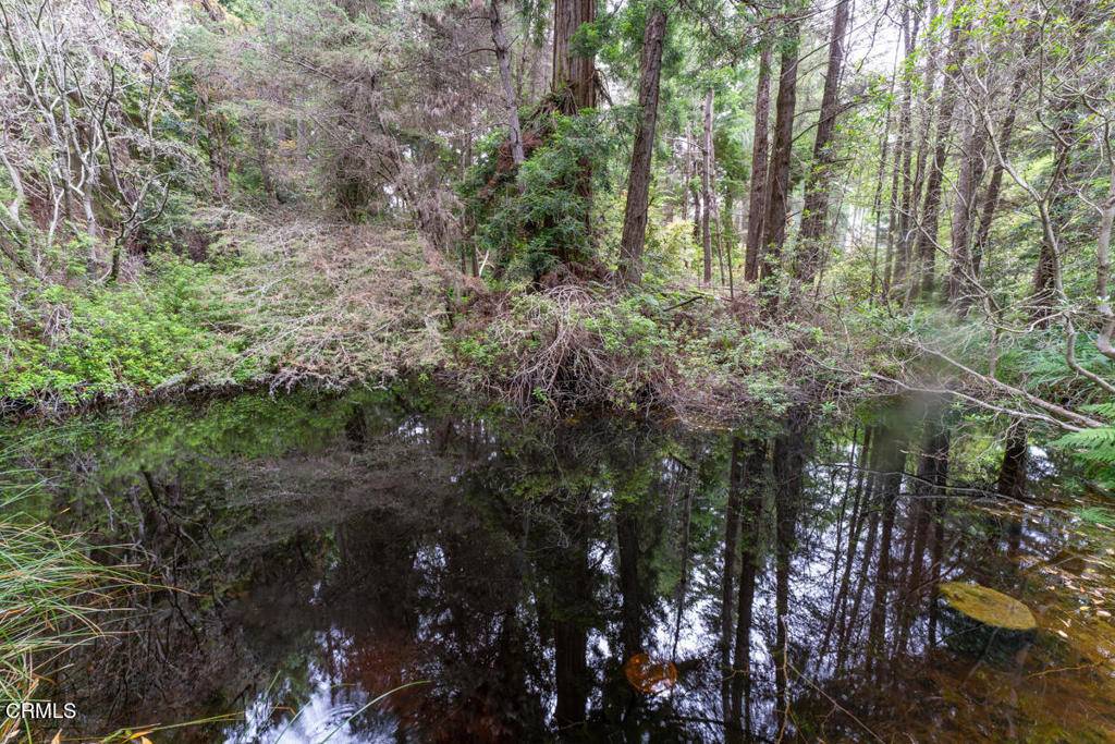 Fort Bragg, CA 95437,31101 Turner RD