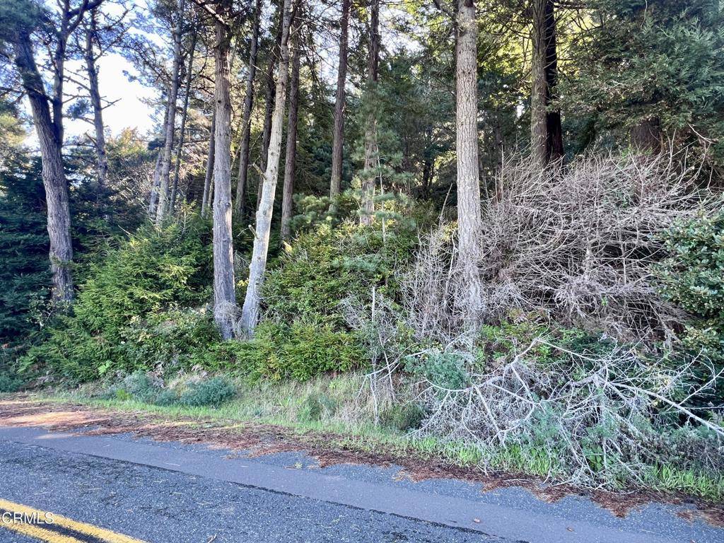 Manchester, CA 95459,15301 Forest View RD