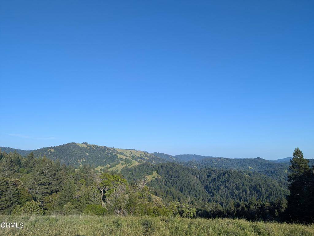 Point Arena, CA 95468,22346 Rickard Ranch RD
