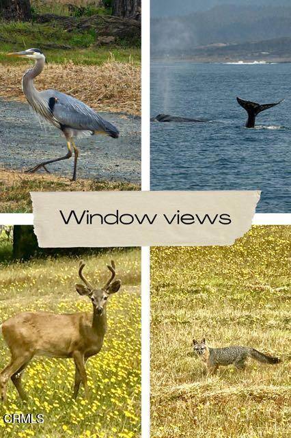 Albion, CA 95410,2721 White Gull CT