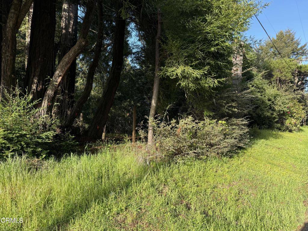 Fort Bragg, CA 95437,31750 Pudding Creek RD