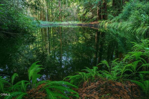 Mendocino, CA 95460,43535 Comptche Ukiah RD