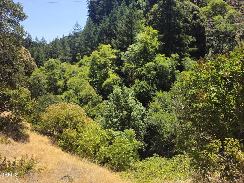 Leggett, CA 95585,58901 Hwy 101
