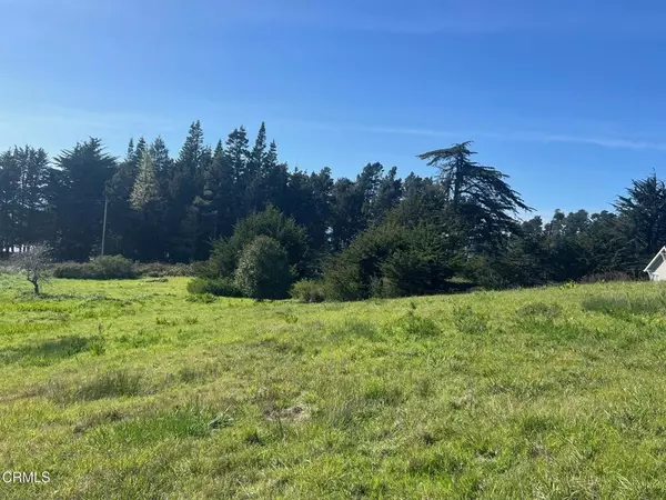 Mendocino, CA 95460,44831 Baywood DR