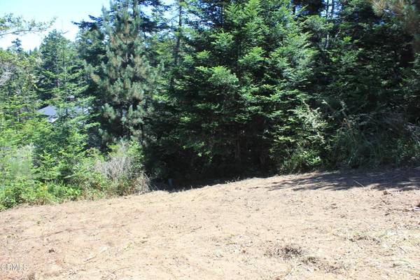 Mendocino, CA 95460,44068 Ocean Vista CT