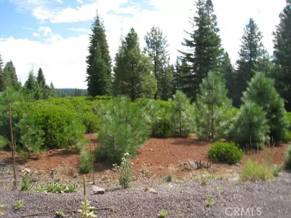 Lake Almanor, CA 96137,822 Marina DR