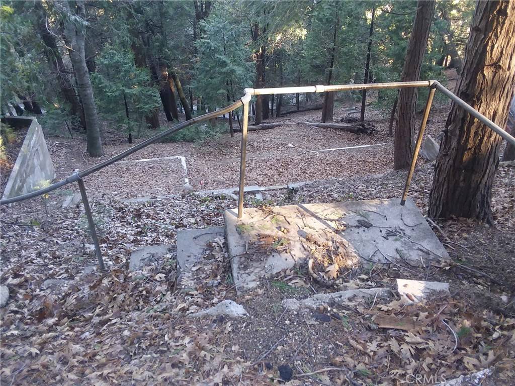 Crestline, CA 92325,23977 Skyland DR