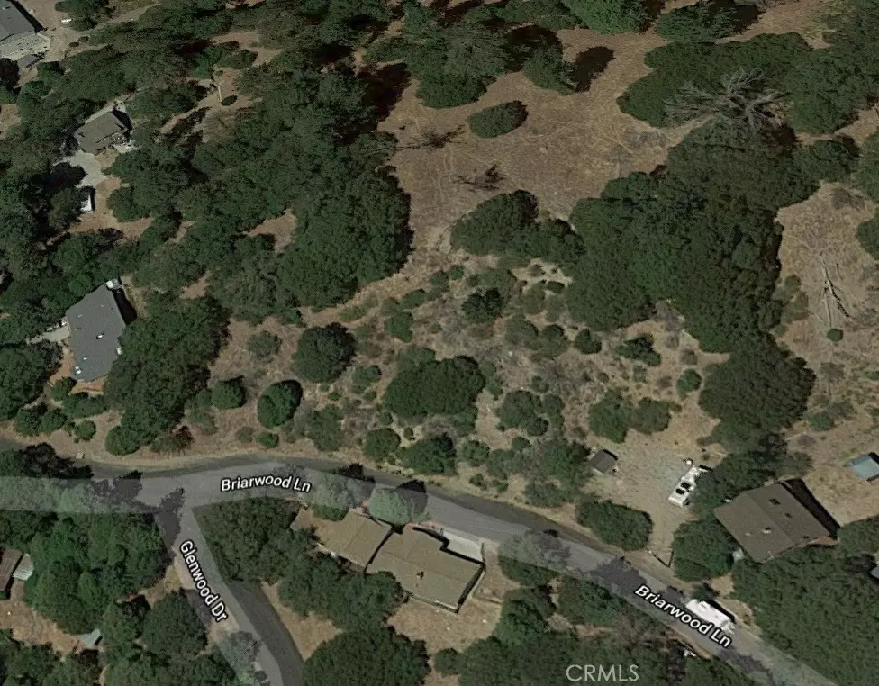 Crestline, CA 92325,0 Briarwood LN