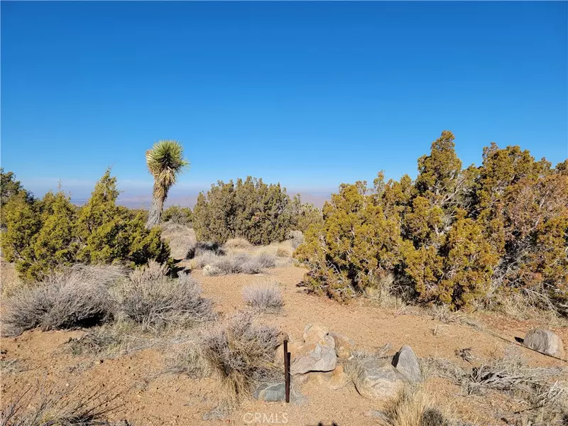 0 Pitzer Buttes, Lucerne Valley, CA 92356