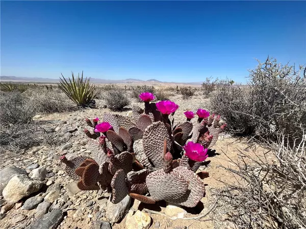 0 0, Lucerne Valley, CA 92356