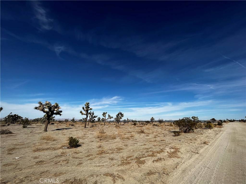 Pinon Hills, CA 92372,0 Arcadia