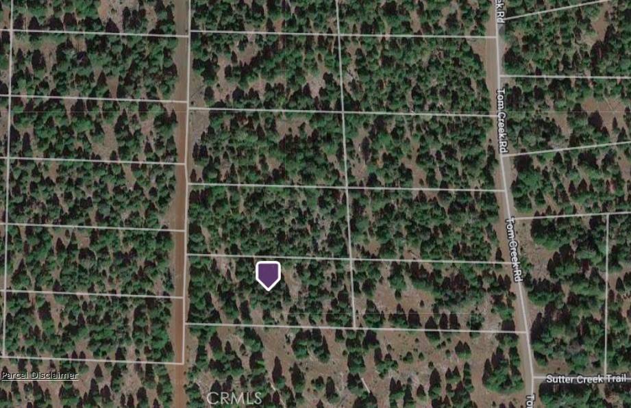 0 Lot 13 Block 19, Alturas, CA 96101