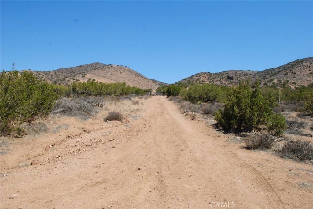 Acton, CA 93510,0 Vac/Vic Tuckerway Ranch Rd/Av