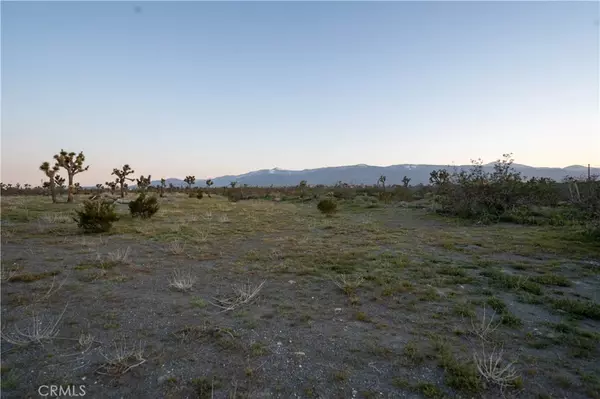 Pinon Hills, CA 92372,2323 Bear Valley RD