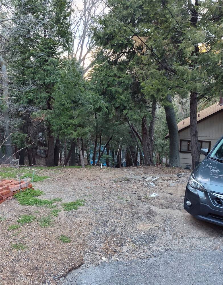 Crestline, CA 92325,0 Outlook LN