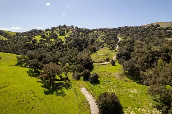 Chino Hills, CA 91709,1 OLD CARBON CANYON Cut
