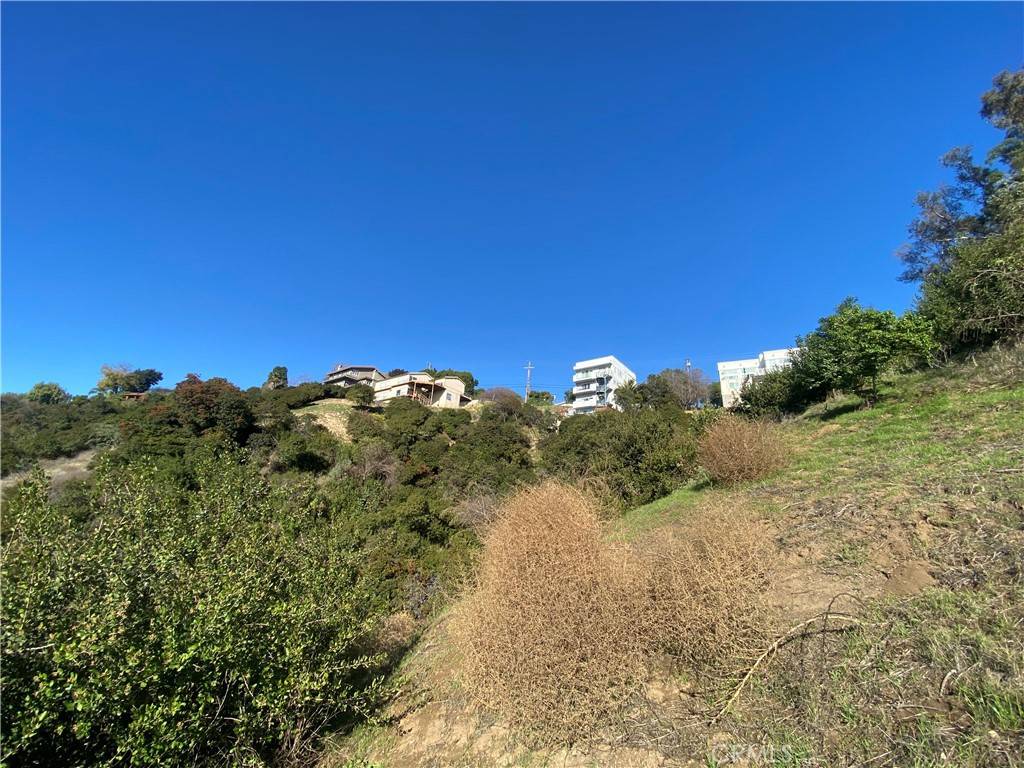 Mount Washington, CA 90065,280 Grand View TER