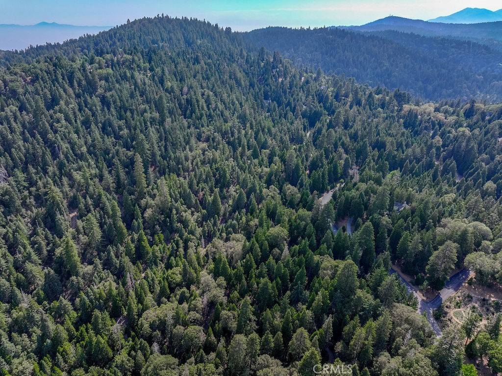 Lake Arrowhead, CA 92352,29215 Pigeon Hawk LN