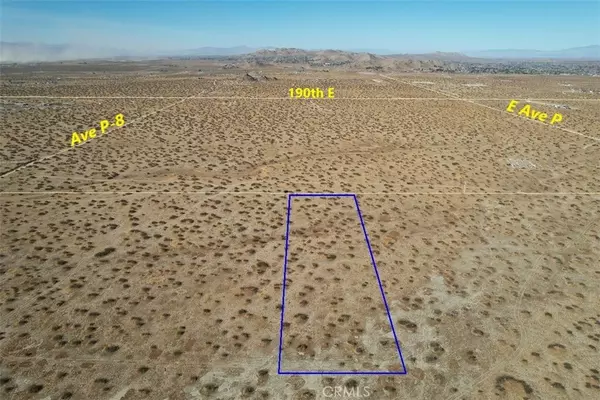 Palmdale, CA 93591,45 E 195th ST