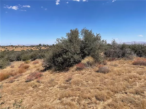 Phelan, CA 92371,0 Barbet LN