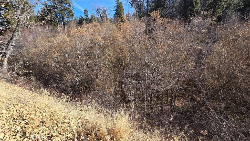 Cedar Glen, CA 92321,0 Big Tree DR