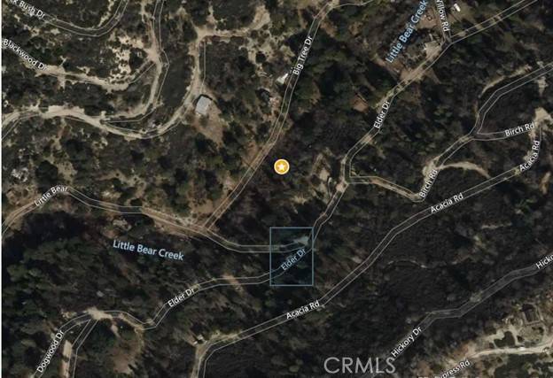 Cedar Glen, CA 92321,0 Big Tree DR