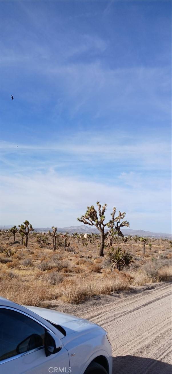 Apple Valley, CA 92308,0 Bowen Ranch RD