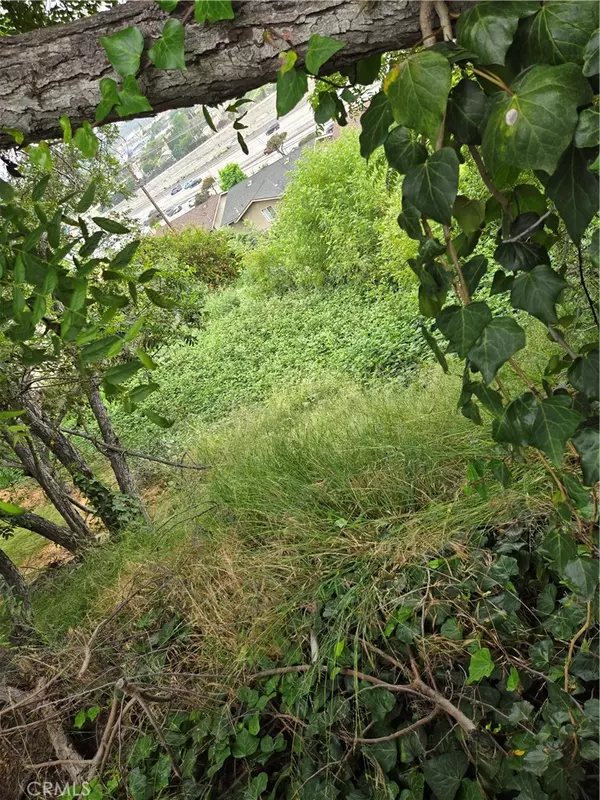 Los Angeles, CA 90063,3717 Woolwine