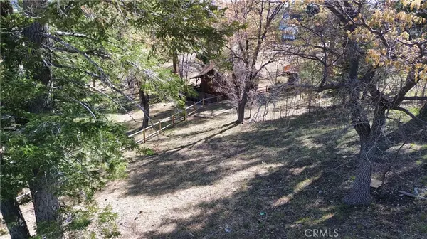 Big Bear Lake, CA 92315,859 Pine Meadow CT