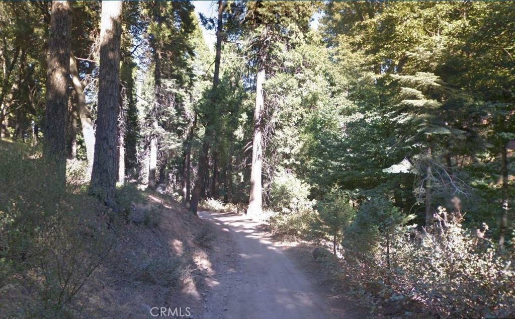 Cedarpines Park, CA 92322,59 Mojave River RD