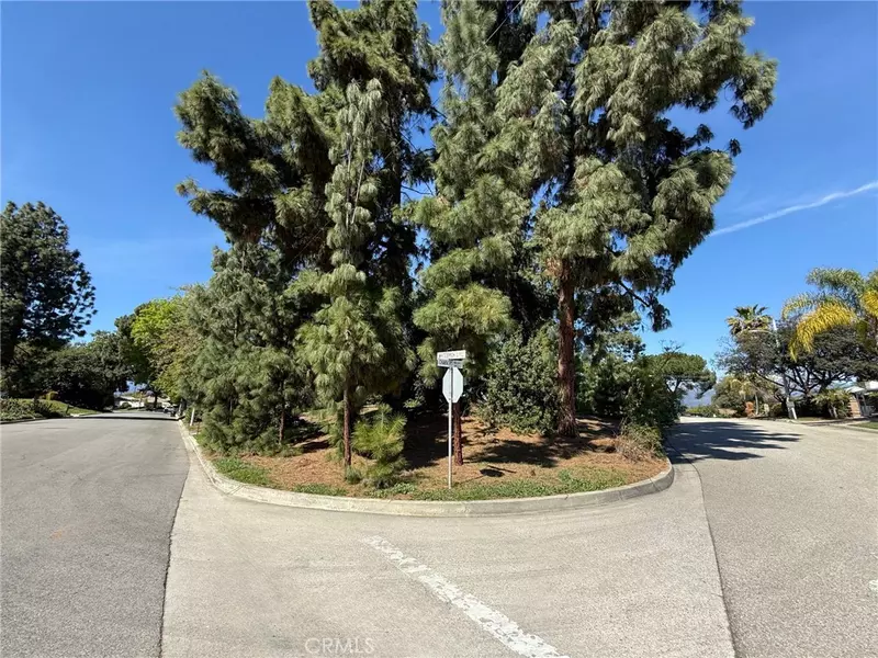 3247 E Whitebirch DR, West Covina, CA 91791