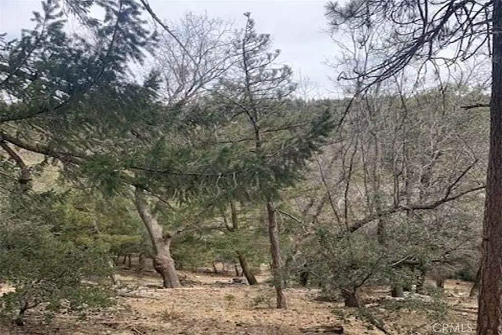 Cedarpines Park, CA 92322,29 Fir ST