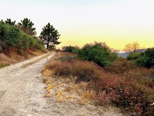 Devore, CA 92407,0 Canon