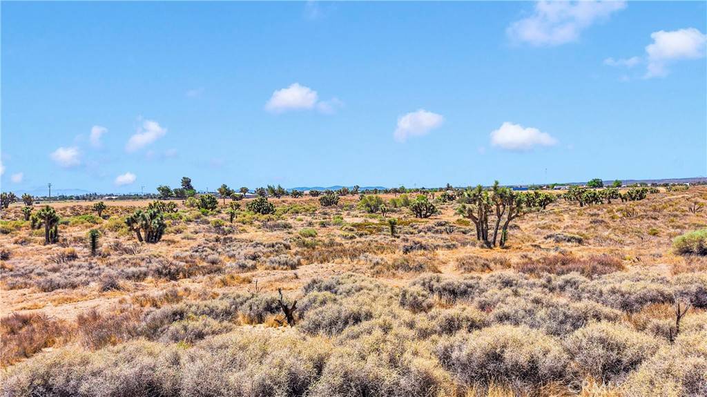 Phelan, CA 92371,0 Beaver AVE