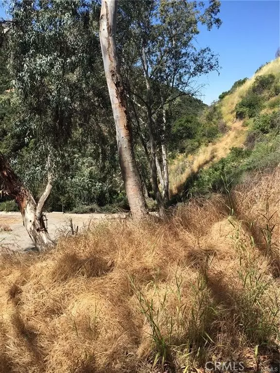 Glendale, CA 91206,0 Dragonfly