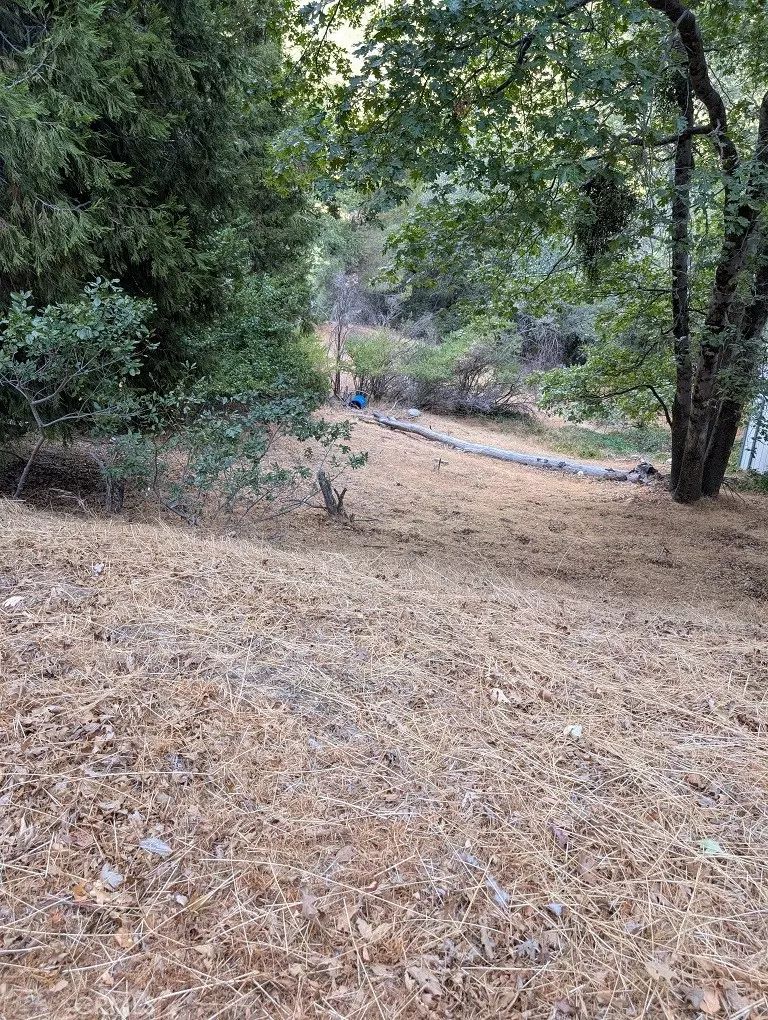 Crestline, CA 92325,0 Edelweiss DR
