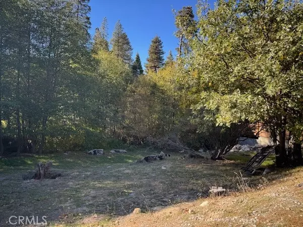Cedar Glen, CA 92321,430 Alder LN