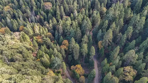 Cedarpines Park, CA 92322,5 Deer Run RD