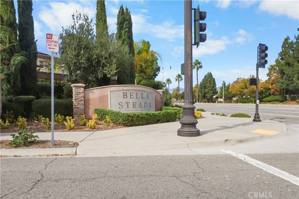 Fontana, CA 92336,16768 Olive Tree