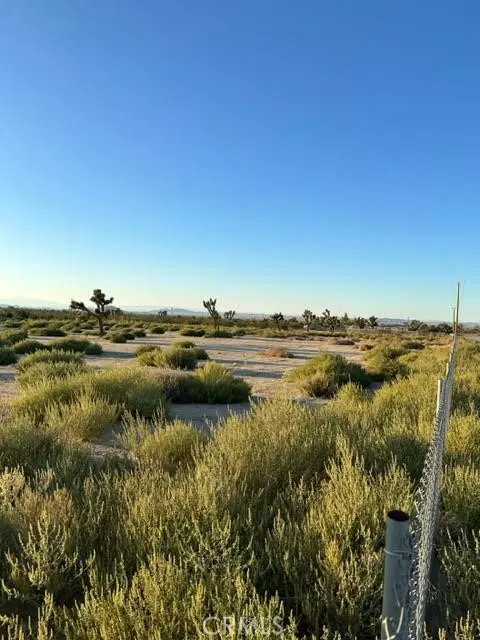 Pinon Hills, CA 92372,12322 Buena Vista RD