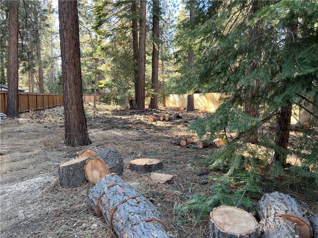 South Lake Tahoe, CA 96150,1124 Tata LN
