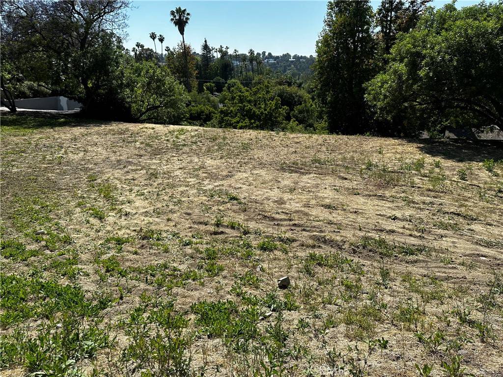 Encino, CA 91436,4632 Libbit AVE
