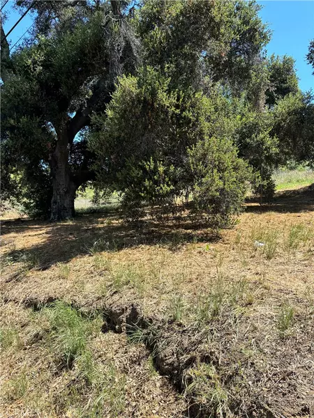 0 Sheridan RD, Val Verde, CA 91384