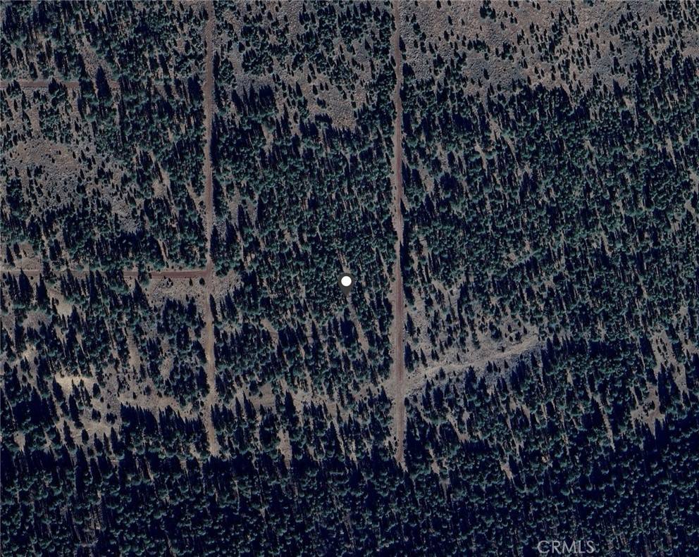 0 Falcon RD, Alturas, CA 96101