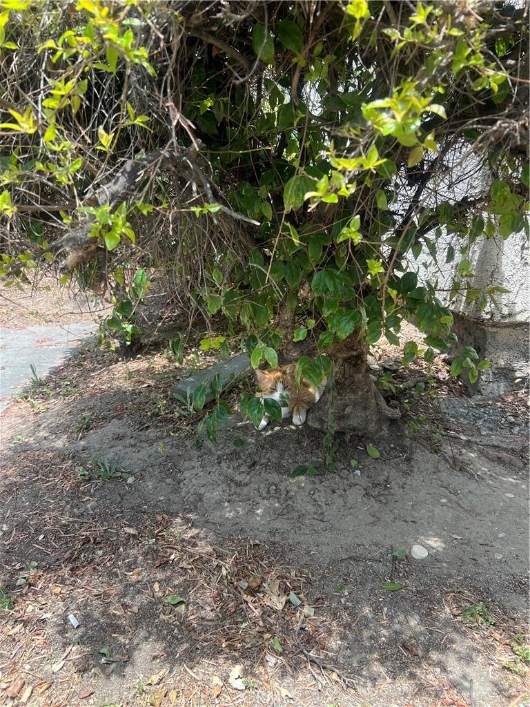 Canoga Park, CA 91304,8601 International AVE #265