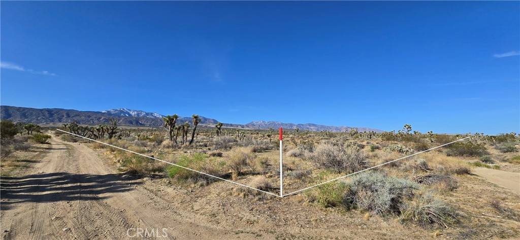 Llano, CA 93544,22000 Avenue X