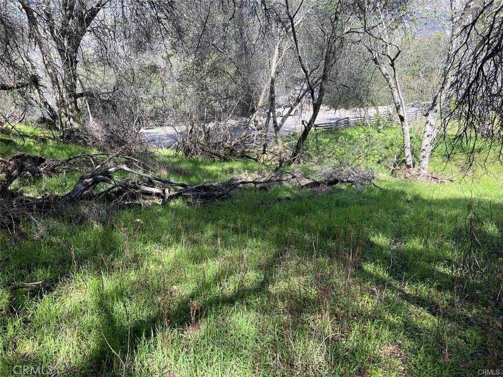 Three Rivers, CA 93271,45580 Sierra DR