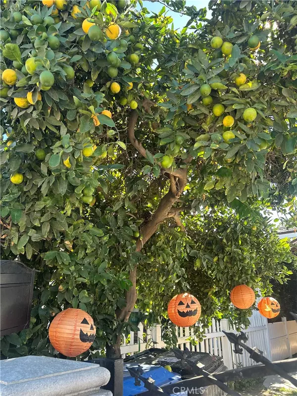 Los Angeles, CA 90003,222 W 87th