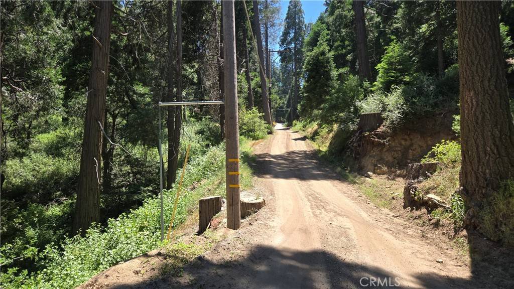 Cedarpines Park, CA 92322,0 Burnt Mill Canyon Rd