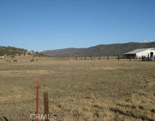 Big Bear, CA 92314,2151 Erwin Ranch RD